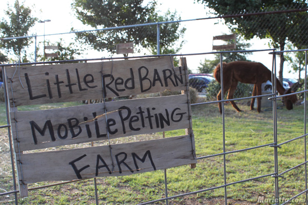 Cobb County Rodeo