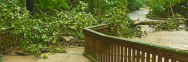 East Cobb Park Flood