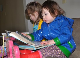 Cobb County Book Sale at Jim Miller Park in Marietta