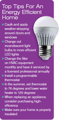 cobb-energy-efficiency-tips