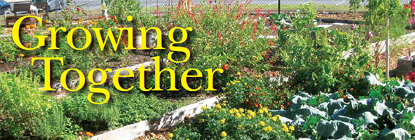Growing Together