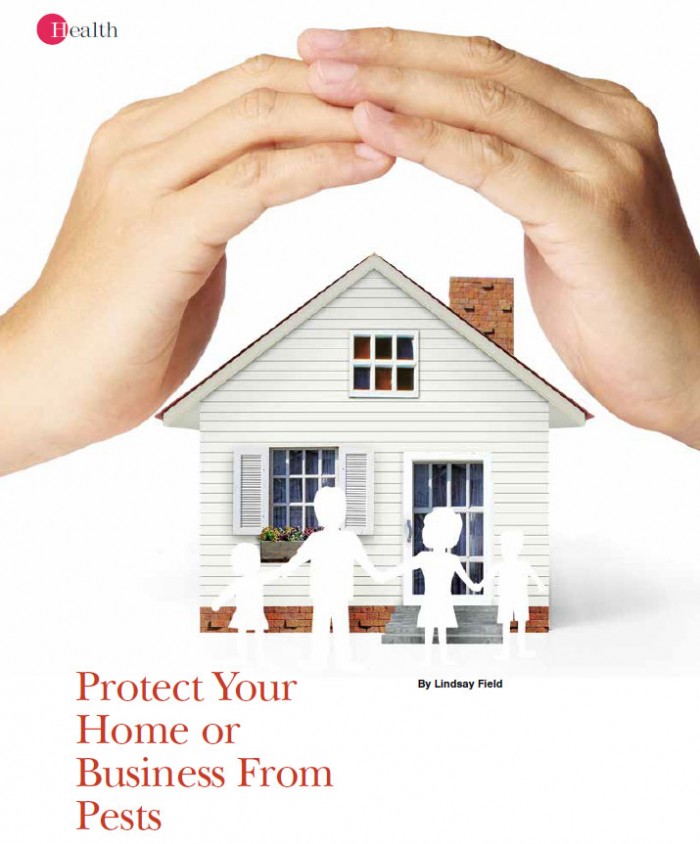 protect-home-from-pests