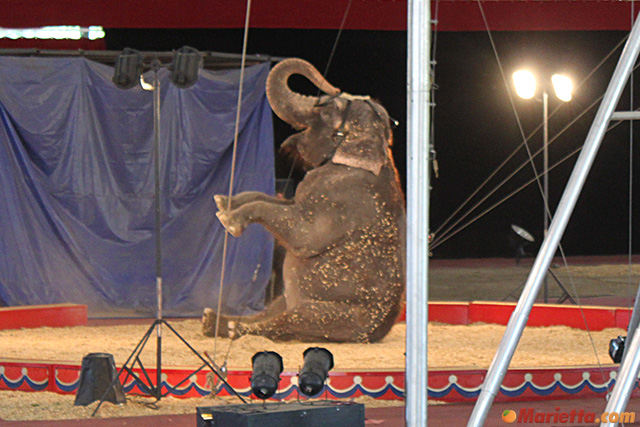 yaarab-shrine-circus-elephant