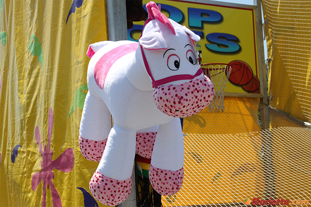 yaarab-shrine-circus-pony