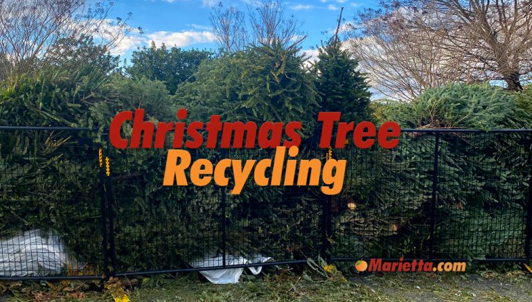 Christmas Tree Recycling