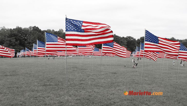 Field of Flags