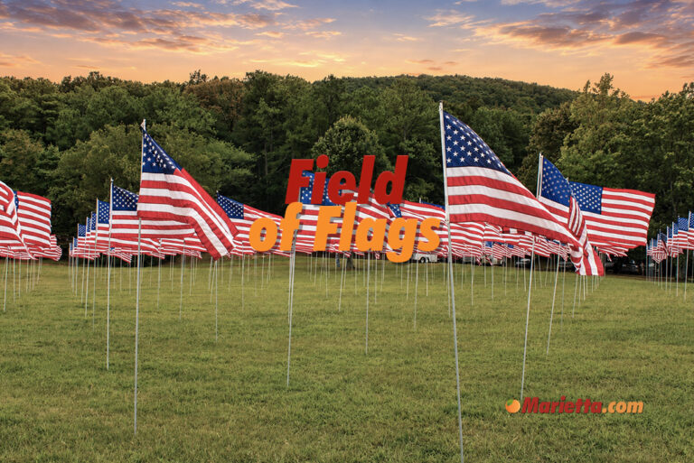 Field of Flags