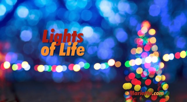 Christmas and Holiday Lights at Life University